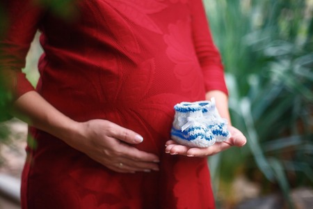 Pregnant woman. Belly with baby booties closeup. Third trimester of pregnancyの写真素材