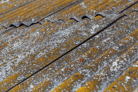 Old roof tiles with lichen and moss, backgroundの写真素材