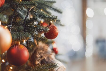Defocused or blurred christmas tree lights background bokehの写真素材