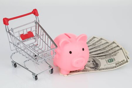 Pink piggy bank style money box, dollar banknotes and mini shopping cart on gray backgroundの写真素材