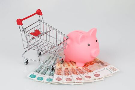 Pink piggy money box on pile of russian rouble banknotes on gray background, currency conceptの写真素材