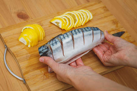 Mackerel or scomber and ingridients. Fresh raw fish ready to prepareの写真素材