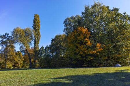 SOFIA, BULGARIA- OCTOBER 15, 2017: Autumn view with Yellow trees in South Park in city of Sofia, Bulgariaのeditorial素材