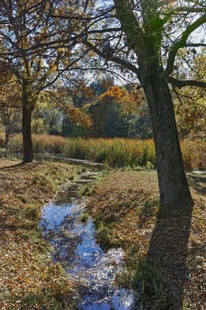 SOFIA, BULGARIA- OCTOBER 15, 2017: Autumn view with Yellow trees in South Park in city of Sofia, Bulgariaのeditorial素材