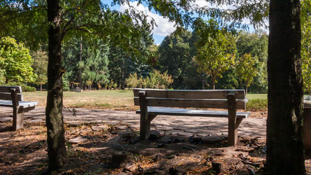 Trees and gardens at South Park in city of Sofia, Bulgaria