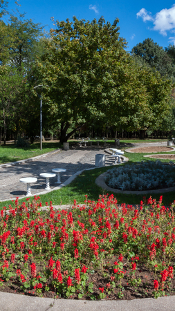 Trees and gardens at South Park in city of Sofia, Bulgariaの写真素材