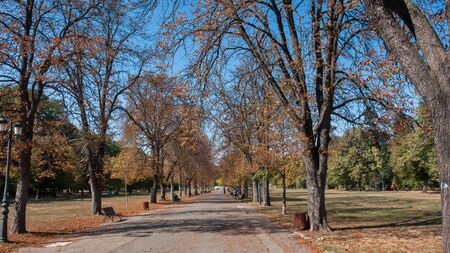 SOFIA, BULGARIA - OCTOBER 5, 2018: Landscape with Trees and gardens at Borisova gradina (Boris Garden) in city of Sofia, Bulgariaのeditorial素材