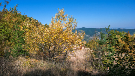 Amazing Autumn landscape Ruen Mountain- northern part of Vlahina Mountain, Kyustendil Region, Bulgariaの写真素材