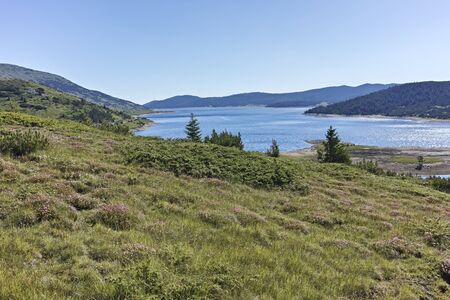 Summer landscape of Belmeken Dam, Rila mountain, Bulgariaの写真素材