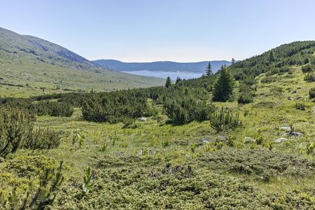 Summer landscape of Belmeken Dam, Rila mountain, Bulgariaの写真素材