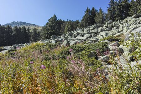 Landscape with Moraine at Vitosha Mountain, Sofia City Region, Bulgariaの写真素材