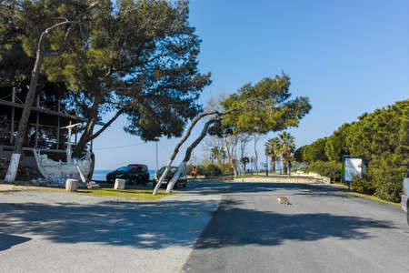 NEA POTEIDAIA, GREECE - MARCH 31, 2019: View of Coastal street of Nea Poteidaia, Kassandra, Chalkidiki, Central Macedonia, Greeceのeditorial素材