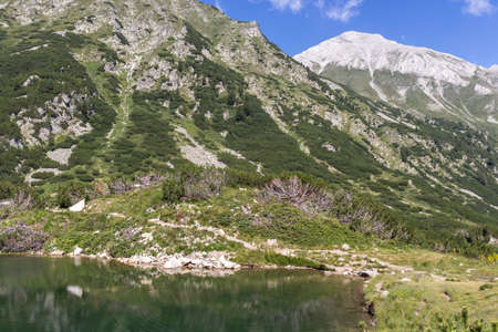 Summer landscape of Pirin Mountain near Vihren hut, Bulgariaの写真素材