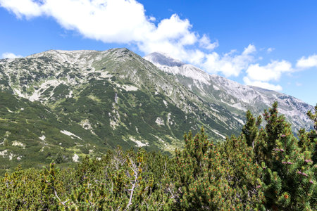 Summer landscape of Pirin Mountain near Vihren hut, Bulgariaの写真素材