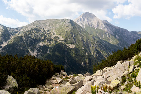 Summer landscape of Pirin Mountain near Vihren hut, Bulgariaの写真素材