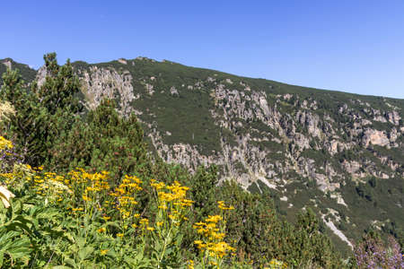 Summet Landscape of Malyovitsa river valley, Rila Mountain, Bulgariaの写真素材