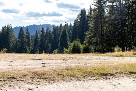 Panorama of Rhodope Mountains near Smolyan lakes, Smolyan Region, Bulgariaの写真素材