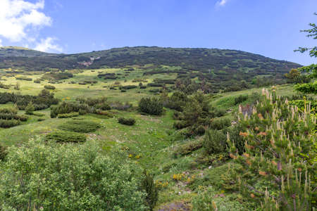 Amazing landscape of Rila mountain near Belmeken Dam, Bulgariaの写真素材