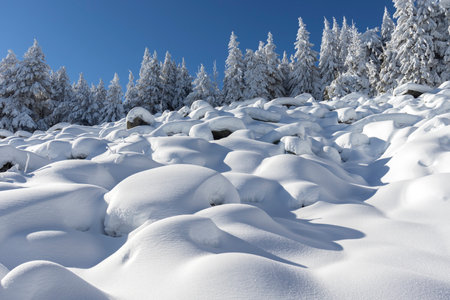 Winter landscape of Vitosha Mountain, Sofia City Region, Bulgariaの写真素材