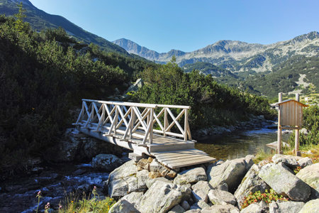 Amazing Summer landscape of Pirin Mountain near Banderitsa River, Bulgariaの写真素材