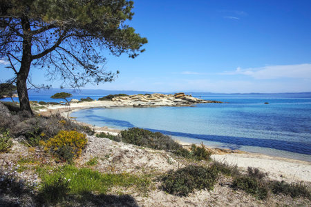 Amazing view of Sithonia coastline near Karydi Beach, Chalkidiki, Central Macedonia, Greeceの写真素材