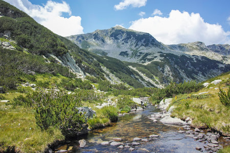 Amazing Landscape of Pirin Mountain near Banderitsa Area, Bulgariaの写真素材