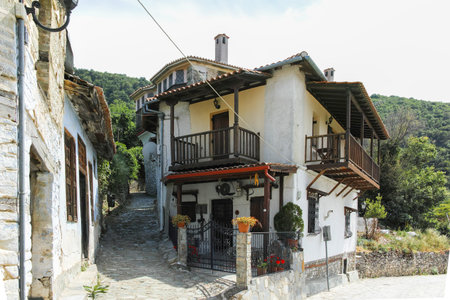 The historical Village of Ampelakia, Larissa, Thessaly, Greeceの写真素材