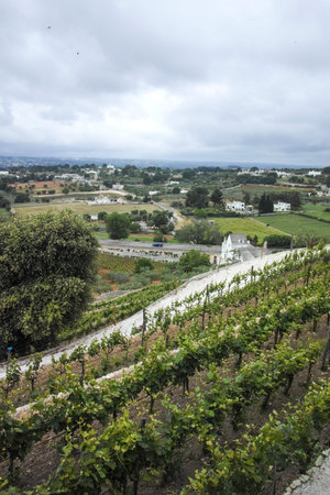 LOCOROTONDO, ITALY - MAY 15, 2024: Panorama of The Old town of Locorotondo, Apulia Region, Italyのeditorial素材