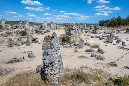 Summer view of rock formation Pobiti Kamani (Upright Stones), Varna region, Bulgariaの写真素材