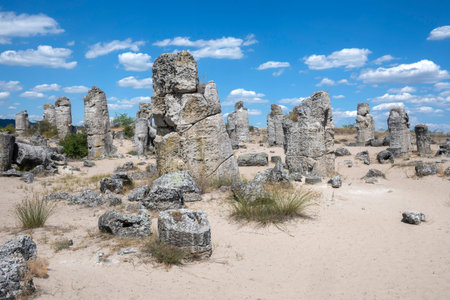 Summer view of rock formation Pobiti Kamani (Upright Stones), Varna region, Bulgariaの写真素材