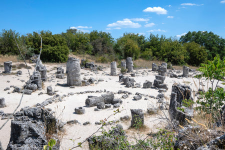 Summer view of rock formation Pobiti Kamani (Upright Stones), Varna region, Bulgariaの写真素材