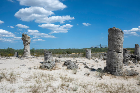 Summer view of rock formation Pobiti Kamani (Upright Stones), Varna region, Bulgariaの写真素材