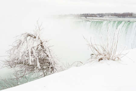Ice covered branches in front of Niagara Fallsの写真素材
