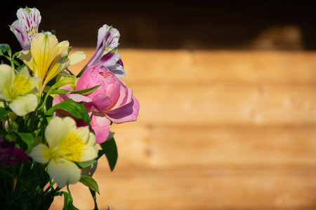 Alstroemeria flowers bouquet against blurred wooden wall. Horizontal background for banners, congratulations, presentations.の写真素材