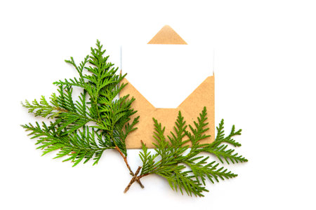 Craft open envelope with a blank white sheet for text. Green cypress branches as decor. The concept of winter holidays.の写真素材
