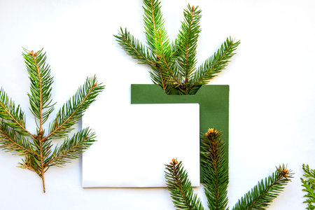 Festive composition. Spruce branch in a green envelope on a white background with space for text....