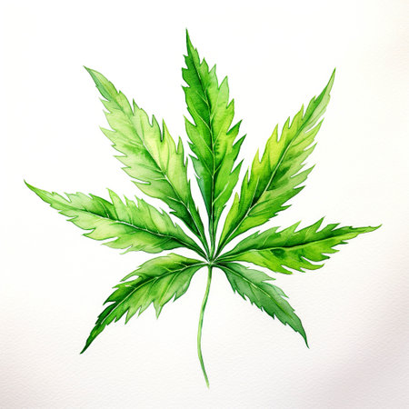 Cannabis leaf isolated on white background. Marijuana leaf. Hand drawn watercolor illustration.の素材