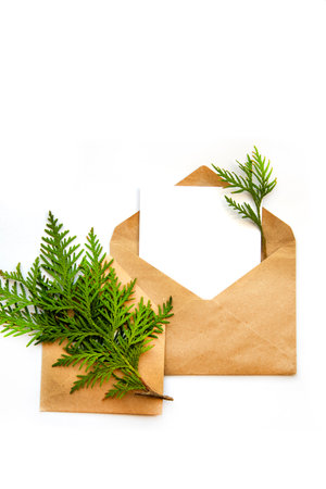 Minimalistic postcard mockup with cypress branch. Kraft envelope, flat lay, top view. Christmas,...