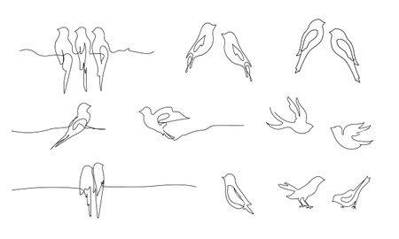Birds continuous line drawing elements set isolated on white background. Vector illustration. Set of different birds. Outline painting.のイラスト素材