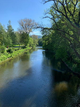 A river winds its way through a dense forest filled with vibrant green foliage. The water flows...