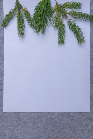 Fresh green pine branches are arranged on blank white paper, creating a harmonious composition against a gray backdrop, ideal for crafting or artistic projects.の写真素材