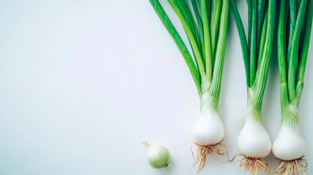Crisp spring onions are laid out on a clean white background, highlighting their freshness.の写真素材