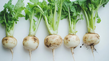 Five fresh turnips with greens on a clean white background, showing their freshness.