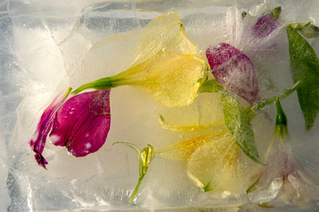 A variety of colorful flowers trapped in ice create a stunning visual effect, emphasizing the intricate details of each petal and leaf, reflecting light beautifully.の写真素材
