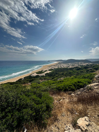 A stunning coastline stretches along the beach, framed by green vegetation beneath a bright sun. The gentle waves and soft sand create a tranquil atmosphere for relaxation and exploration.の写真素材