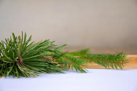 A collection of fresh pine branches lies on a light surface, displaying their lush green needles and...