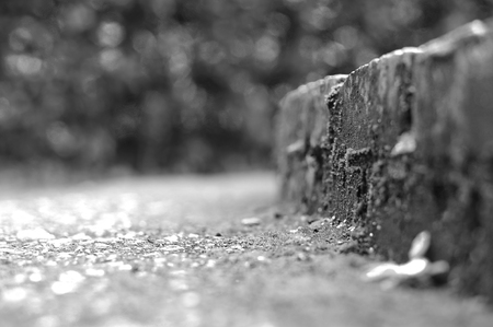 Outdoor bricks with mossesの写真素材