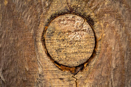 Wood texture background. Old wooden texture.の写真素材