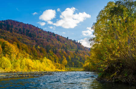 Autumn forest and blue sky and mountains and riverの写真素材