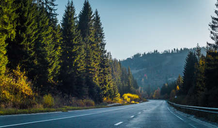 Road and autumn forest. Green red yellow forest.の写真素材